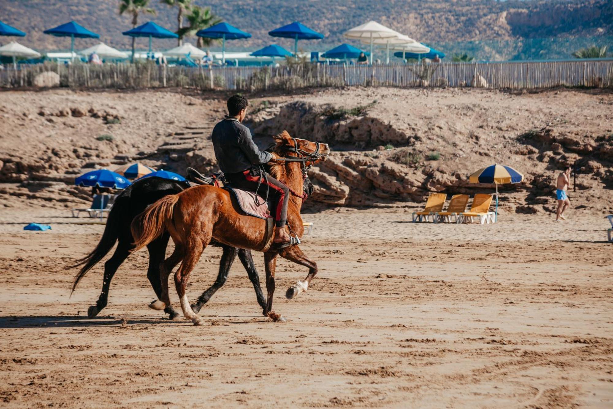 Harmony Surf Lodge Taghazout Eksteriør billede